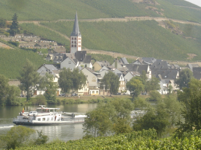 033 - PAYSAGE DES BORDS DE LA MOSELLE 14.JPG